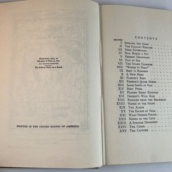 Two Bobbsey Twins Books On A Ranch and The Bobbsey Twins Laura Lee Hope - Picture 12 of 13